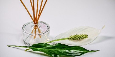 A Beginners Guide To Essential Oils