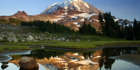 20 Profound Truths from Eckhart Tolle