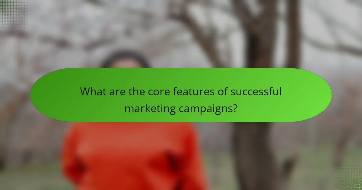 What are the core features of successful marketing campaigns?