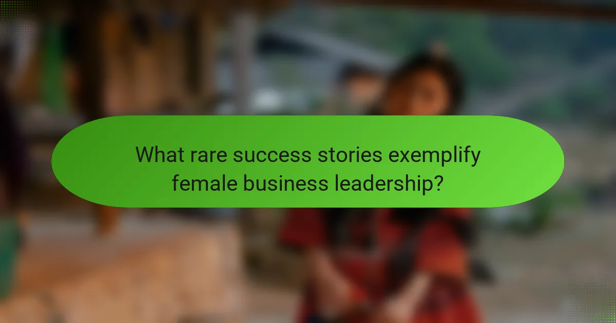 What rare success stories exemplify female business leadership?