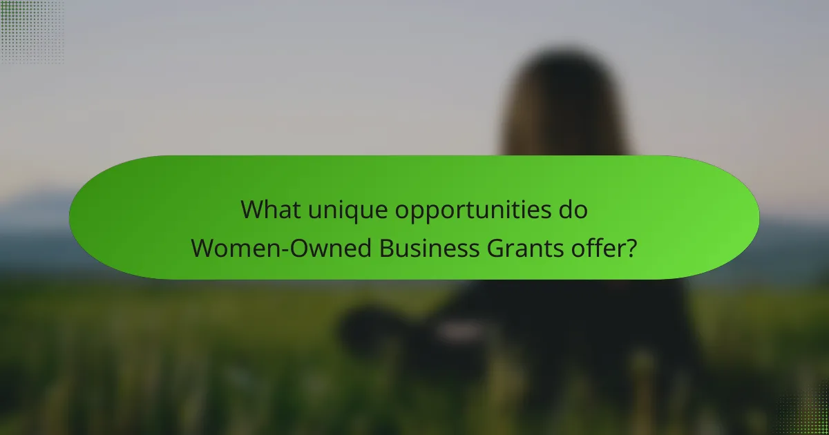 What unique opportunities do Women-Owned Business Grants offer?